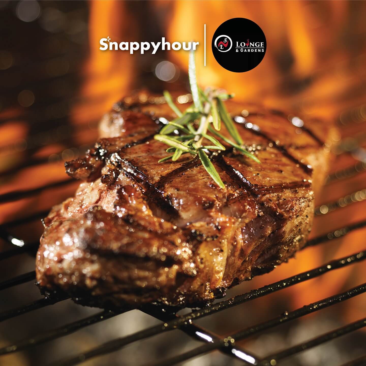 Premium steak dinner special at Nairobi restaurant